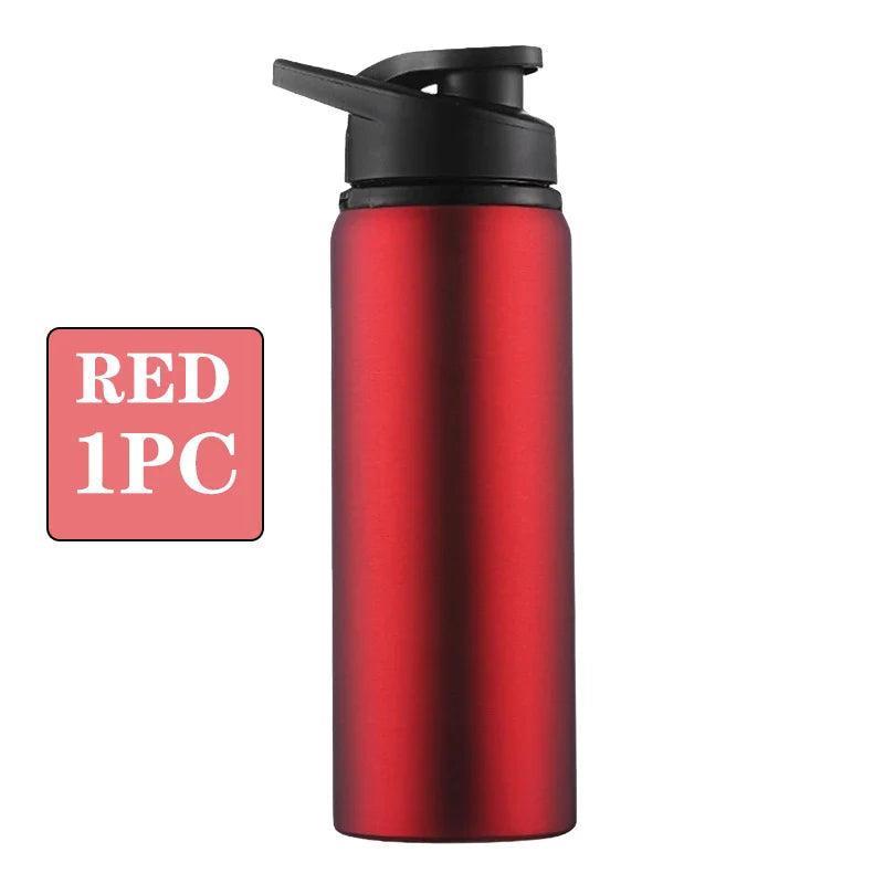 Metal Portable Water Bottle