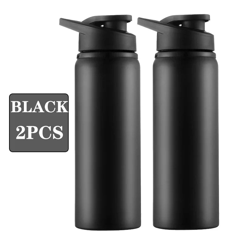 Metal Portable Water Bottle