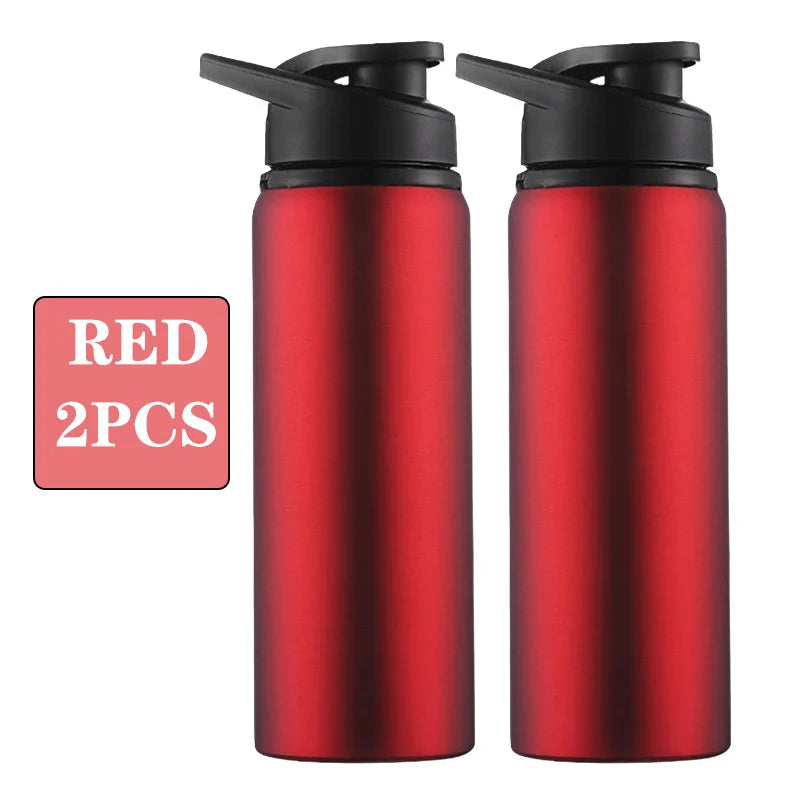 Metal Portable Water Bottle