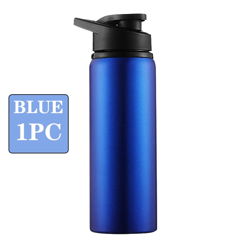Metal Portable Water Bottle