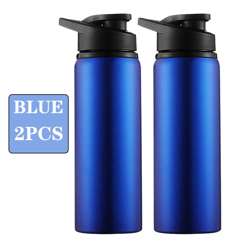 Metal Portable Water Bottle