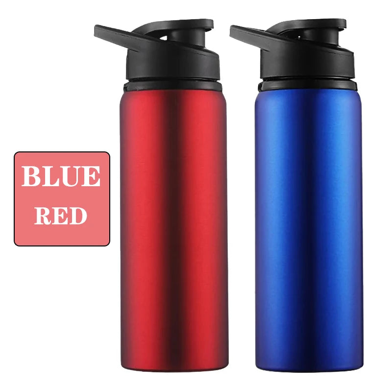 Metal Portable Water Bottle