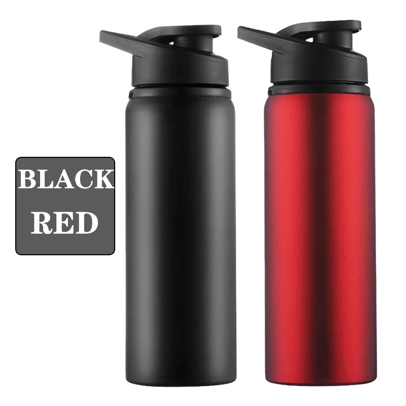 Metal Portable Water Bottle