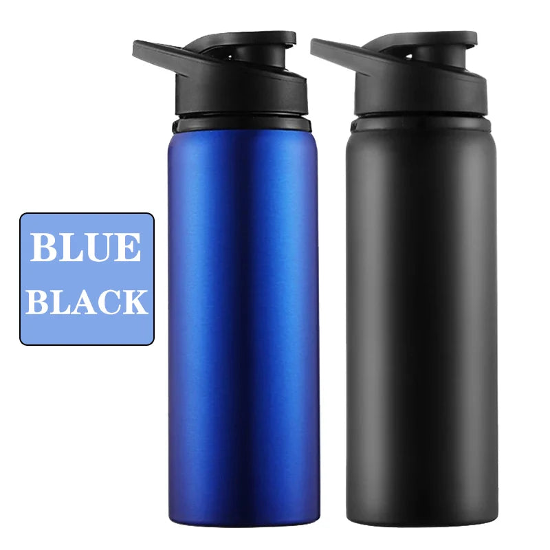 Metal Portable Water Bottle